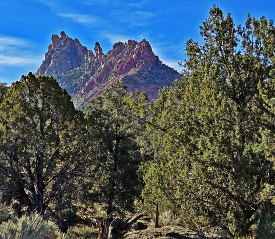 Die spitzen Sandsteinnadeln der Eagle Crags nach ca. 15 Minuten. 20260324 095139