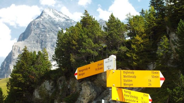 Wegweiser – Entscheidungspunkt dscf0271