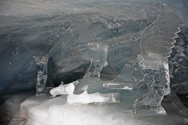 Adler beim Beutemachen dsc 3635 1