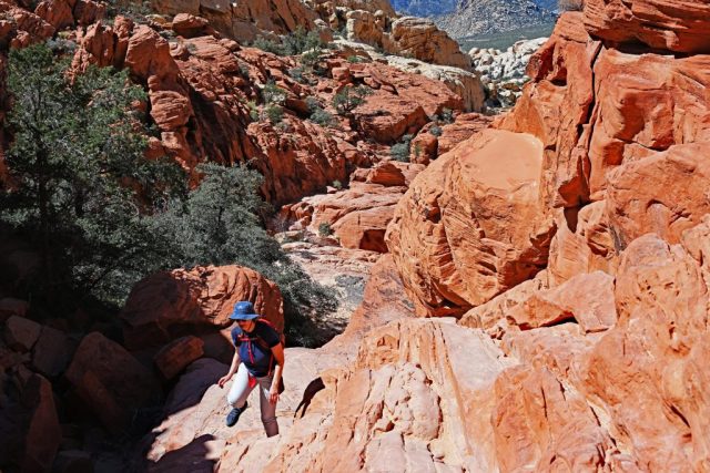 Hania podczas wspinaczki po szorstkich, starożytnych ścianach skalnych. dsc 6762
