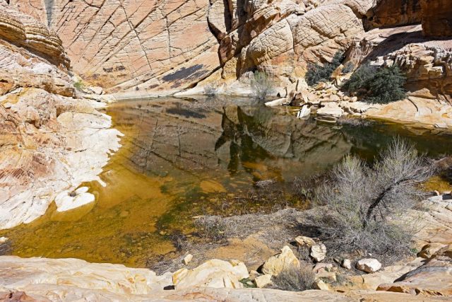 Odbicia w żółto-czerwonej wodzie zbiorników. dsc 6765