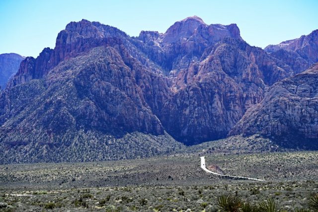 Morze kolorów w ostrym południowym słońcu. dsc 6777