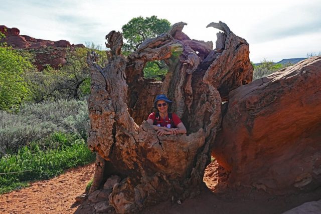 Hania findet Platz im Inneren des riesigen, ausgehöhlten Baumstamms dsc 6888
