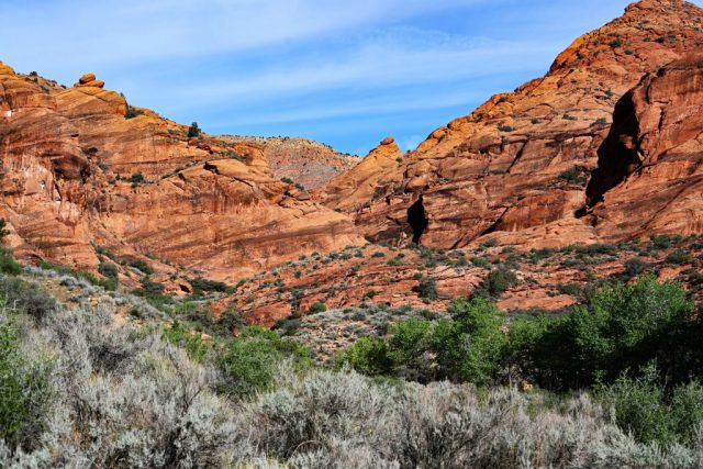 Sanft abfallende rote Felsen rahmen die grüne Oase aus Wüstensträuchern und Bäumen ein. dsc 6891