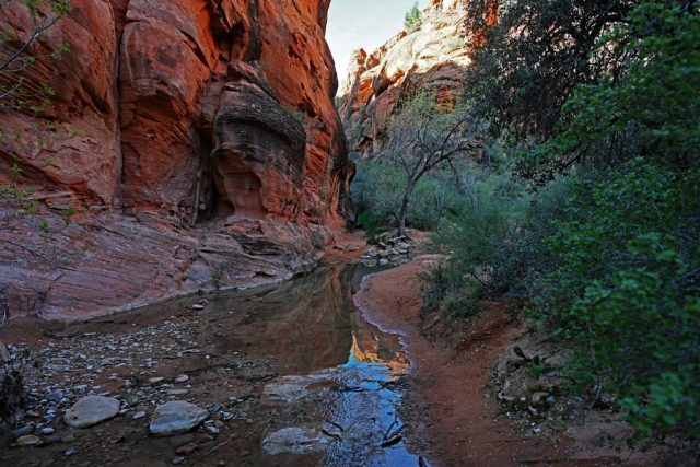 Das klare Wasser des Quail Creek schenkt der Wüste ein kräftiges Smaragdgrün. dsc 6900