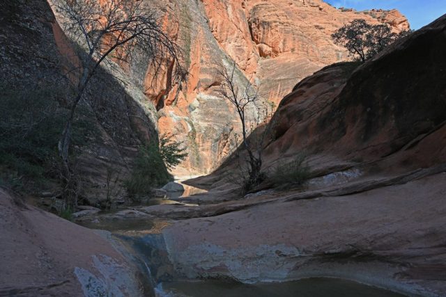 Der kleine Bachlauf, der zum Wasserfall führt. dsc 6901