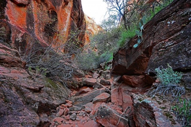Ein Blick in den linken Canyon – hier geht es für uns nicht mehr weiter. dsc 6902