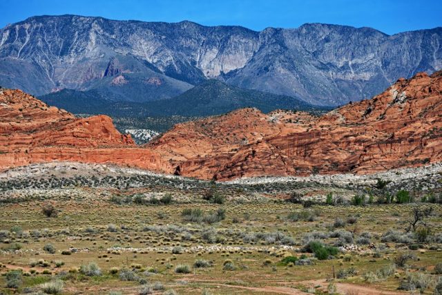Ein gewaltiger Kontrast zwischen dem hellen White Reef, der roten Erde und den fernen Bergen. dsc 6906