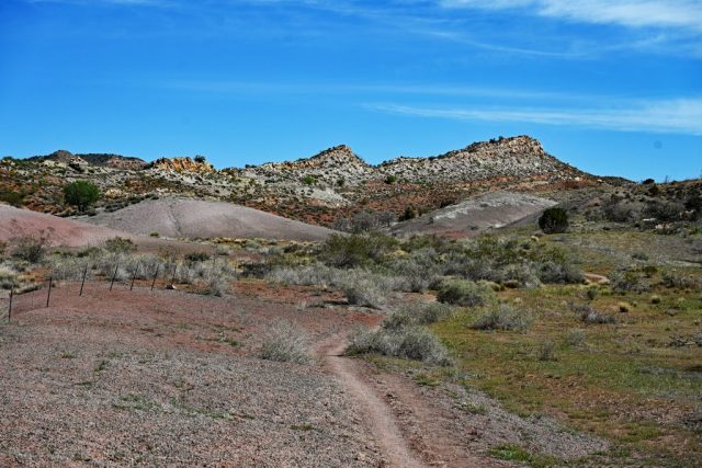Freiheit spüren beim Wandern durch die offene Landschaft aus Salbeibüschen und Yuccas dsc 6909