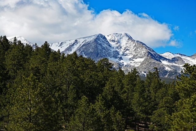 Der Ypsilon Mountain thront über den Nadelbäumen dsc 7429 1