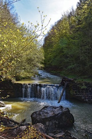 dsc 0071
