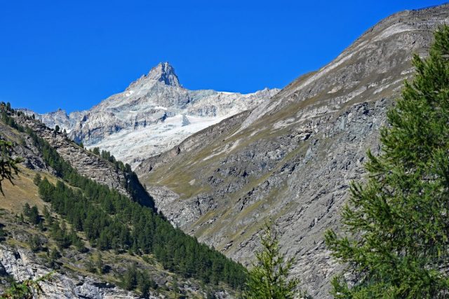 nz7 0090