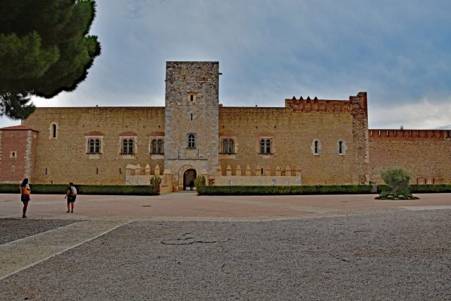 dsc 1114