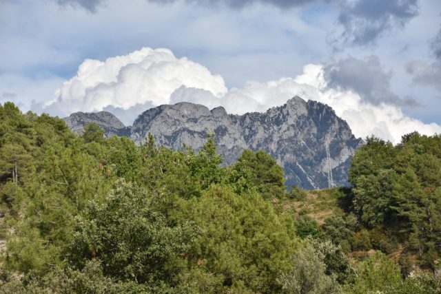 dsc 1167