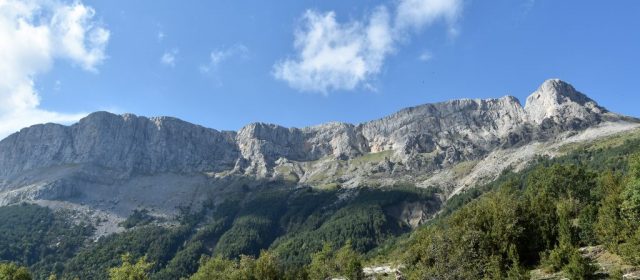dsc 1171
