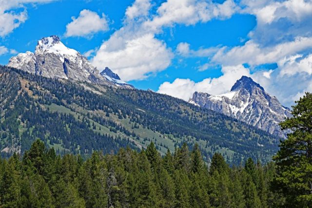 Majestätischer Gipfelglanz über den dichten Teton-Wäldern - Buck Mountain links,Static Peak rechts dsc 8130
