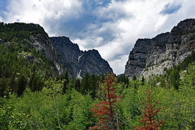 Der steile Eingang in die Schlucht mit markanten roten Akzenten im Vordergrund dsc 8161