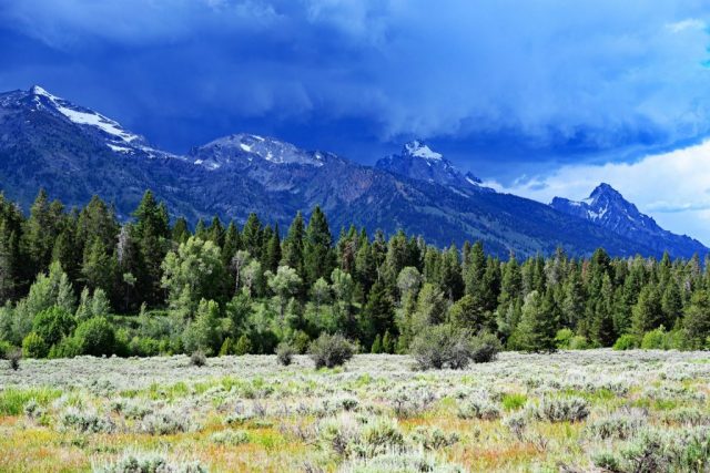 Die majestätische Teton-Hauptkette im dramatischen Sturmlicht über den Sagebrush-Wiesen dsc 8174