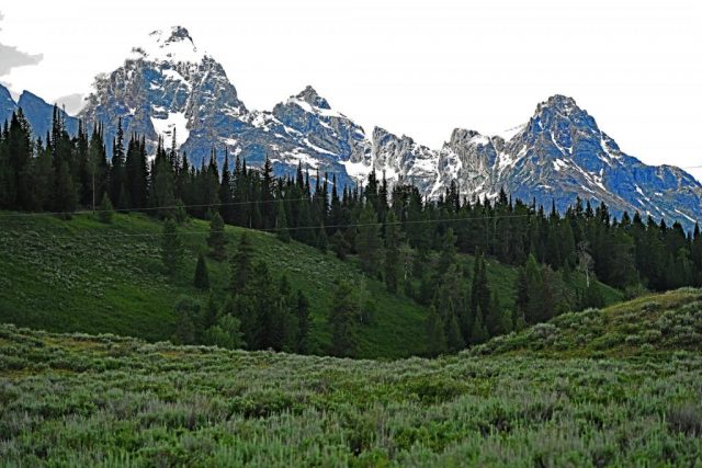 The majestic Cathedral Group with Grand Teton, Mount Owen, and Teewinot Mountain rises above the emerald-green coniferous forest. dsc 8175