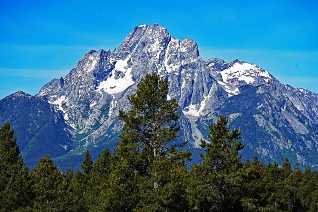 The mighty Mount Moran thrones in full glory above the green treetops against a spotless azure sky. dsc 8177