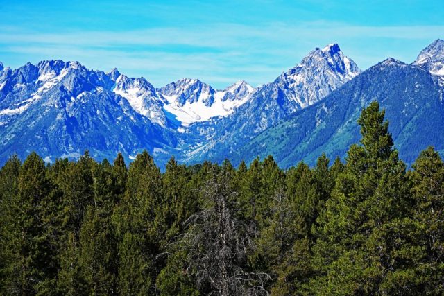 A parade of peaks above the crowns of the forest, featuring the prominent Rockchuck Peak and the jagged needles of Symmetry Spire. dsc 8178