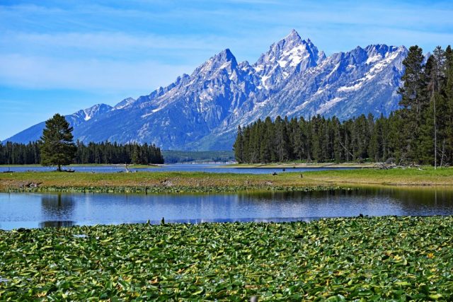 : A postcard view from Swan Lake looking toward the king of the Tetons and the surrounding spires of the Cathedral Group. dsc 8182