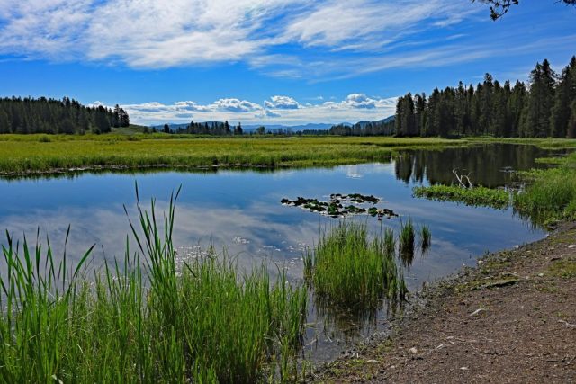 Swan Lake in its full, peaceful expanse enchants through the endless silence of the wide wetlands. dsc 8189