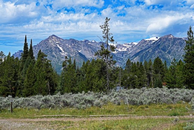 On the return path, the view opens through sagebrush and pine trees once more onto Rockchuck Peak and Mount St. John. dsc 8191