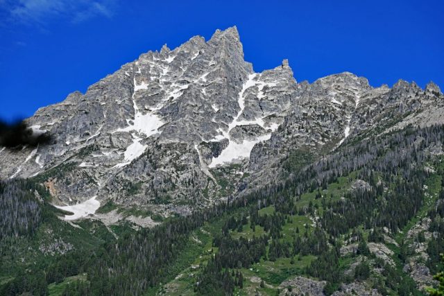dsc 8230