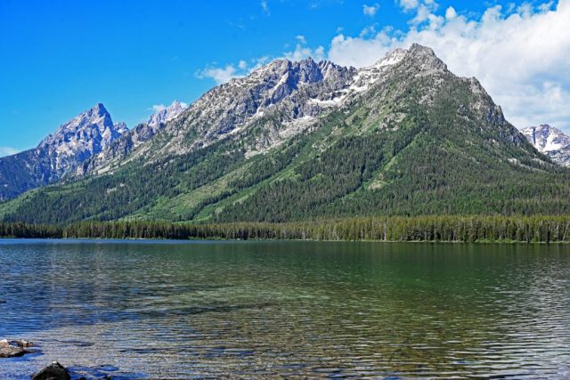 Das große Panorama der nördlichen Teton-Kette mit dem Mount Moran und den fernen Spitzen des Grand Teton. dsc 8271