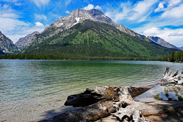 Faszinierendes Versteckspiel am Leigh Lake, bei dem der bewaldete Hang den Mount Moran komplett im Profil verdeckt dsc 8272