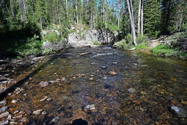 Der Beginn des Terraced Falls Trail am Cascade Creek dsc 8317