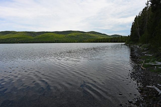 dsc 8390