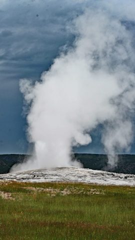 dsc 8395