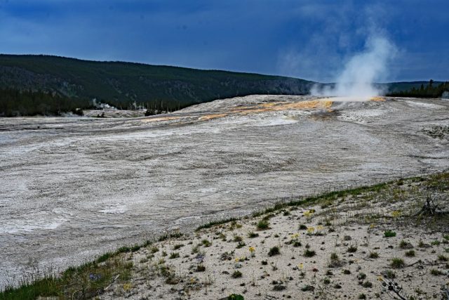 dsc 8405