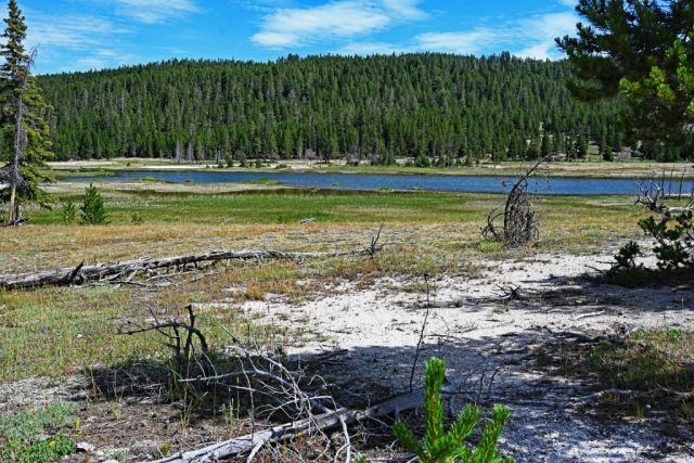 Krajobraz nadbrzeżny nad spokojnie położonym Firehole Lake dsc 8497