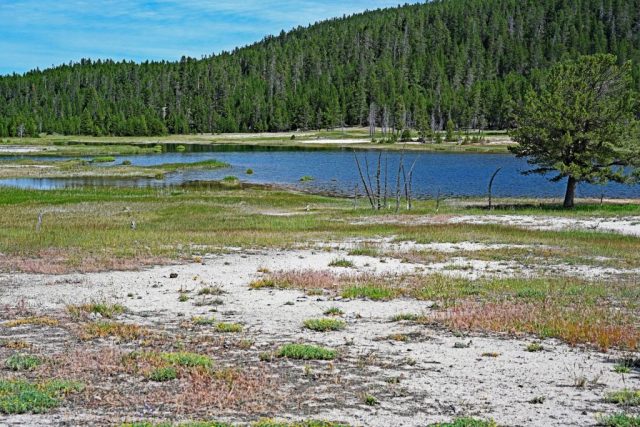 Spokojna woda i otwarty obszar brzegu przy Firehole Lake dsc 8499