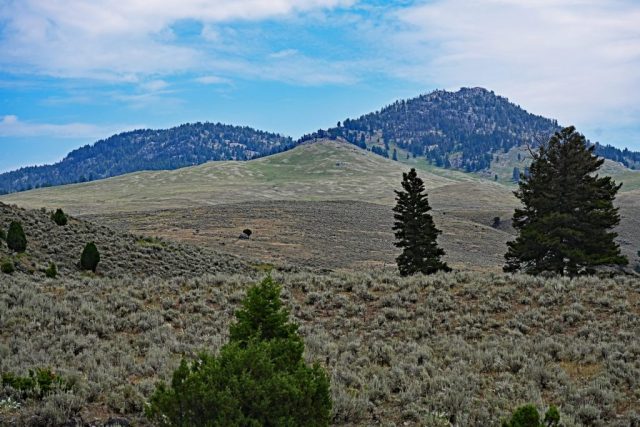 dsc 8565