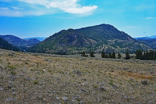 dsc 8570