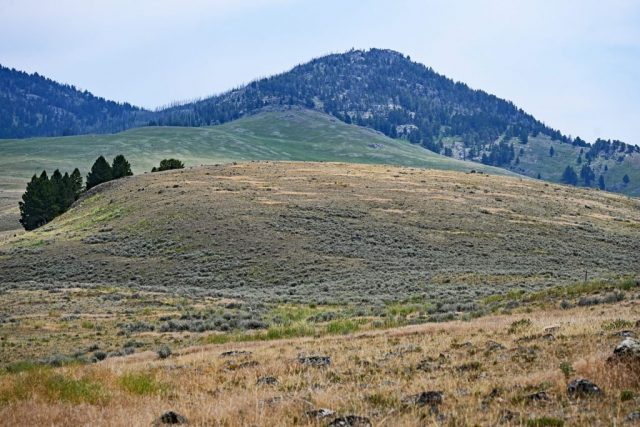 dsc 8574
