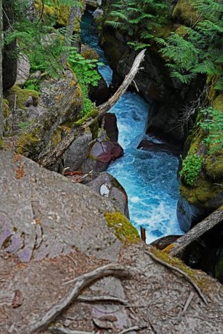 Avalanche Creek in der Avalanche Gorge dsc 8604