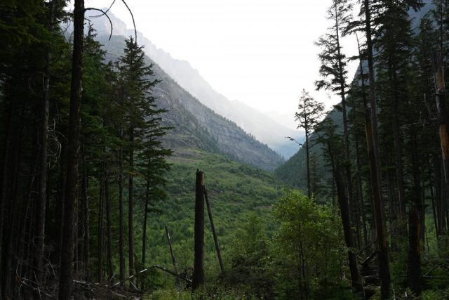 Schlucht der Riesen im morgendlichen Dunst dsc 8607