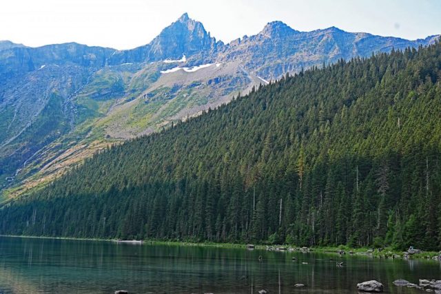 Der grüne Keil am Avalanche Lake dsc 8616