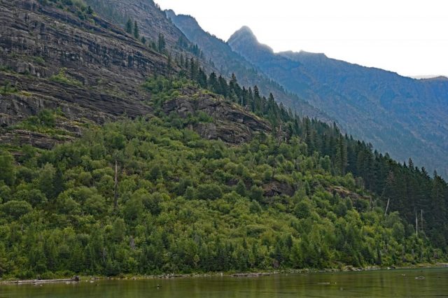 Das schattige Amphitheater des Avalanche Lake dsc 8618 1