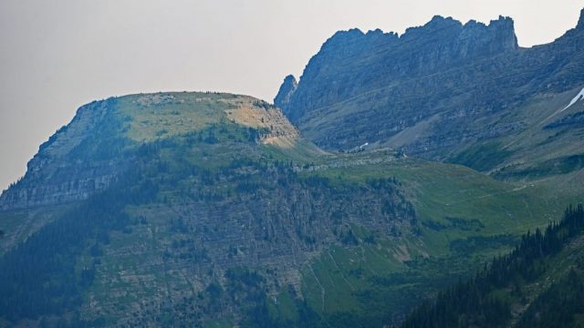 dsc 8841