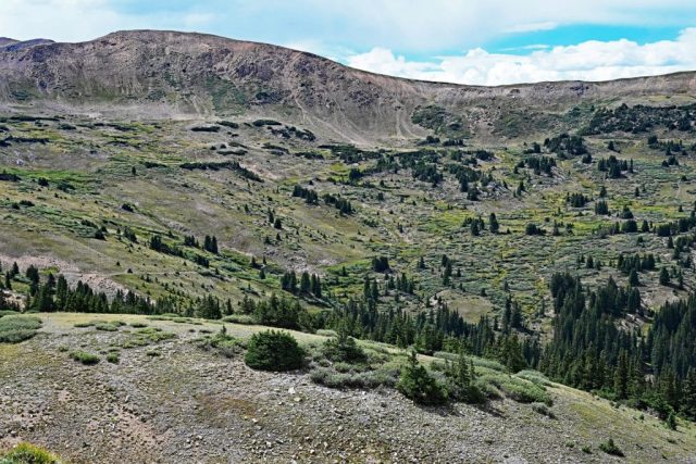 Panoramablick über das bewaldete Tal hinweg zur Continental Divide nz7 9129