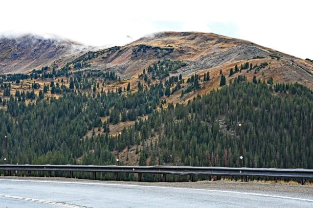 Am Rande der Passstraße – Blick auf die alpine Tundra nz7 9603