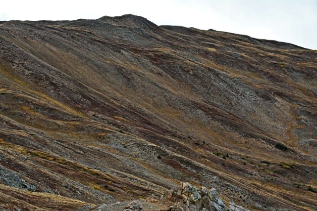 Die herbstlichen Schutt- und Geröllhänge des Cupid Peak nz7 9613