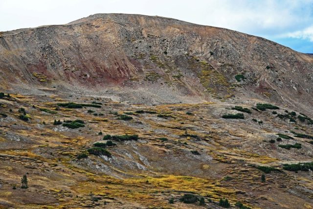 Das herbstliche Farbspiel an den Hängen des Mount Sniktau nz7 9614