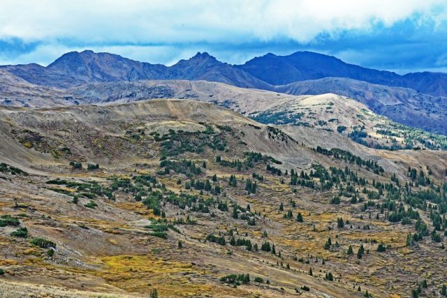 Blick auf Grizzly Peak, Torreys Peak und Grays Peak über der herbstlichen Tundra nz7 9618